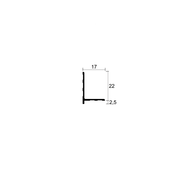Aluminum Micro Skirting Board MPV172 22 mm (RAL)